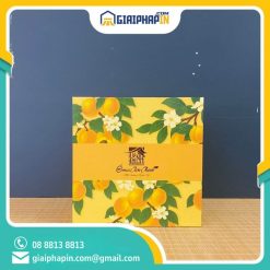 In hộp cứng âm dương có đai đựng Ô mai Tiến Thịnh