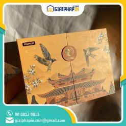 In hộp cánh bướm Trường Xuân Yến